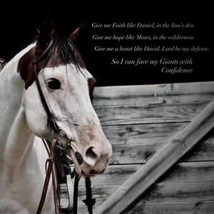 Meet your Posher, Paula